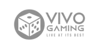 Visa partner logo